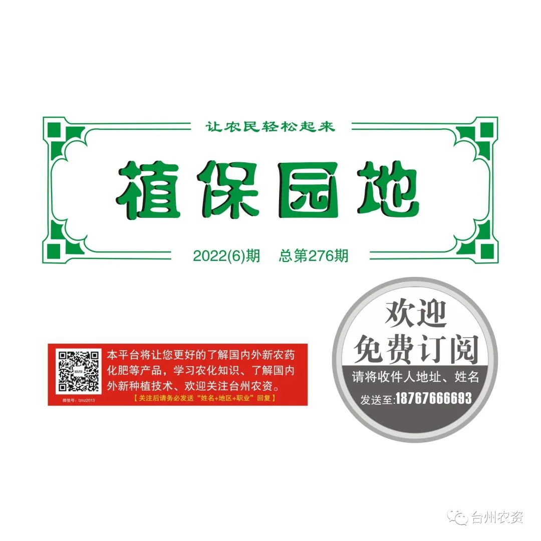 雜交水稻制種增施必奧硅、持力硼成熟期表現(xiàn)情況